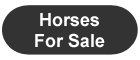 Horses for Sale