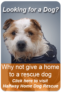 Click here to visit Halfway Home Dog Rescue Centre website